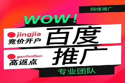 搜索引擎营销（SEM）成功运营的五大案例